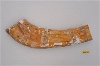 藏品(早坂犀骨塊(模))的圖片